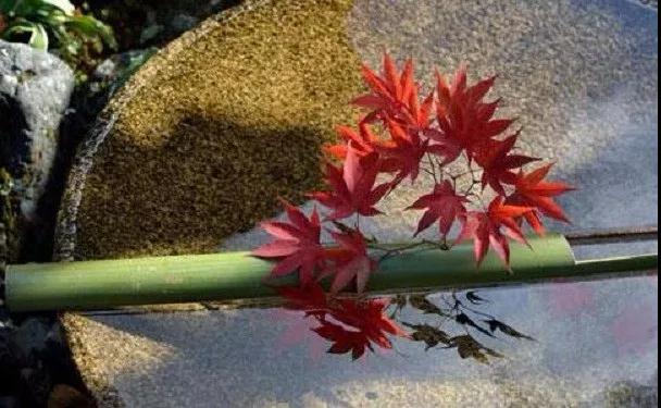 ���������ģ��������˹�~