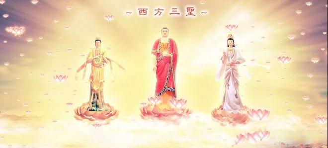 �ڿ��ʹ�ʦ�����������������緢Ը��