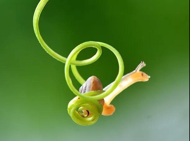 ���ƴ�ʦ��������������