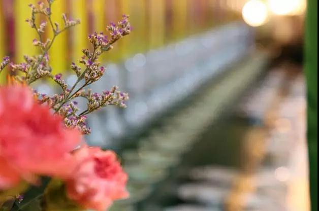 ���������ġ��ԜQ���������к���Ҫ��?