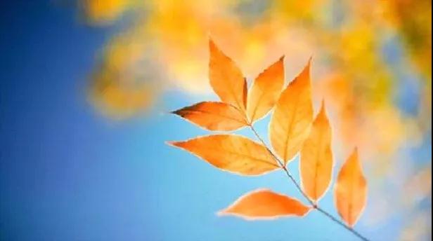 ��Ⱥ��ʦ���˽����������