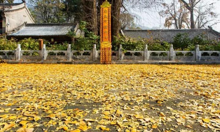 ������������������������