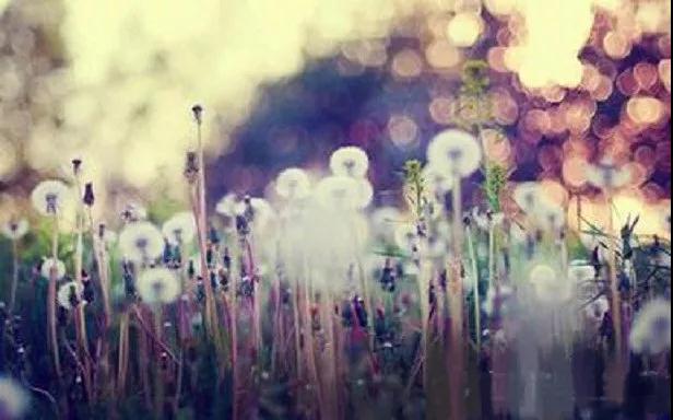 广钦老和尚语录:这世间是一场迷梦…… 广钦老和尚语录:这世间是一场迷梦……