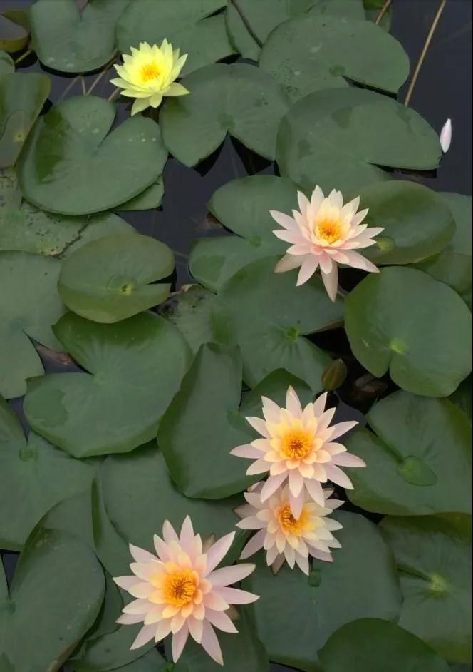 �ж����ͷ���������˺����Լ�