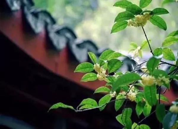 �����˼��˷ϣ�������������