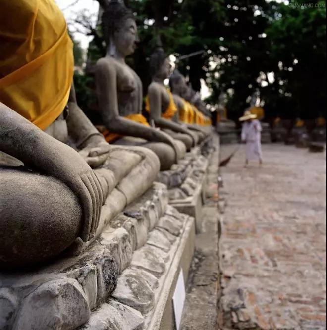 ��ʶ_|_���ﳣ���ֵġ�����������ɶ��˼��