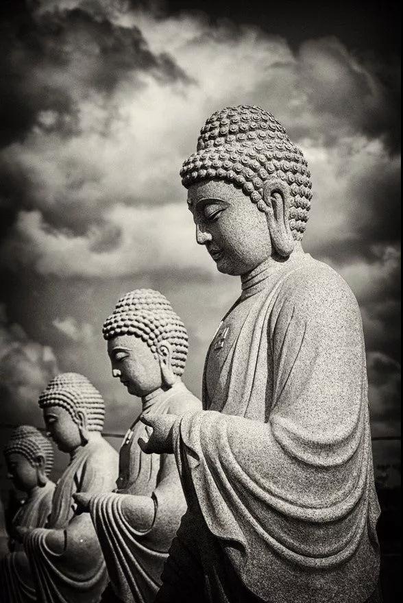 ��ʶ_|_���ﳣ���ֵġ�����������ɶ��˼��