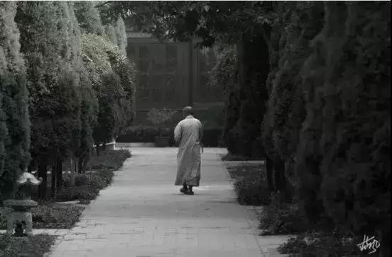 ӡ�ⷨʦ����������췲ʥ��Ҫ�ɷ�Ľݾ�����