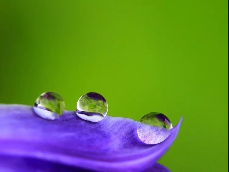 Ů��ѧ���Ͳ��ܴ������