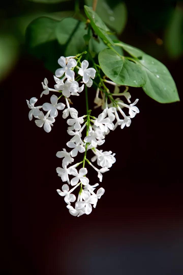 念佛的日子里,你可曾发现这些吗? 念佛的日子里,你可曾发现这些吗?