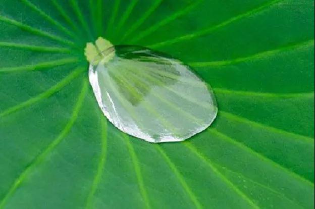 ��Ҫ�����������Ĺ��