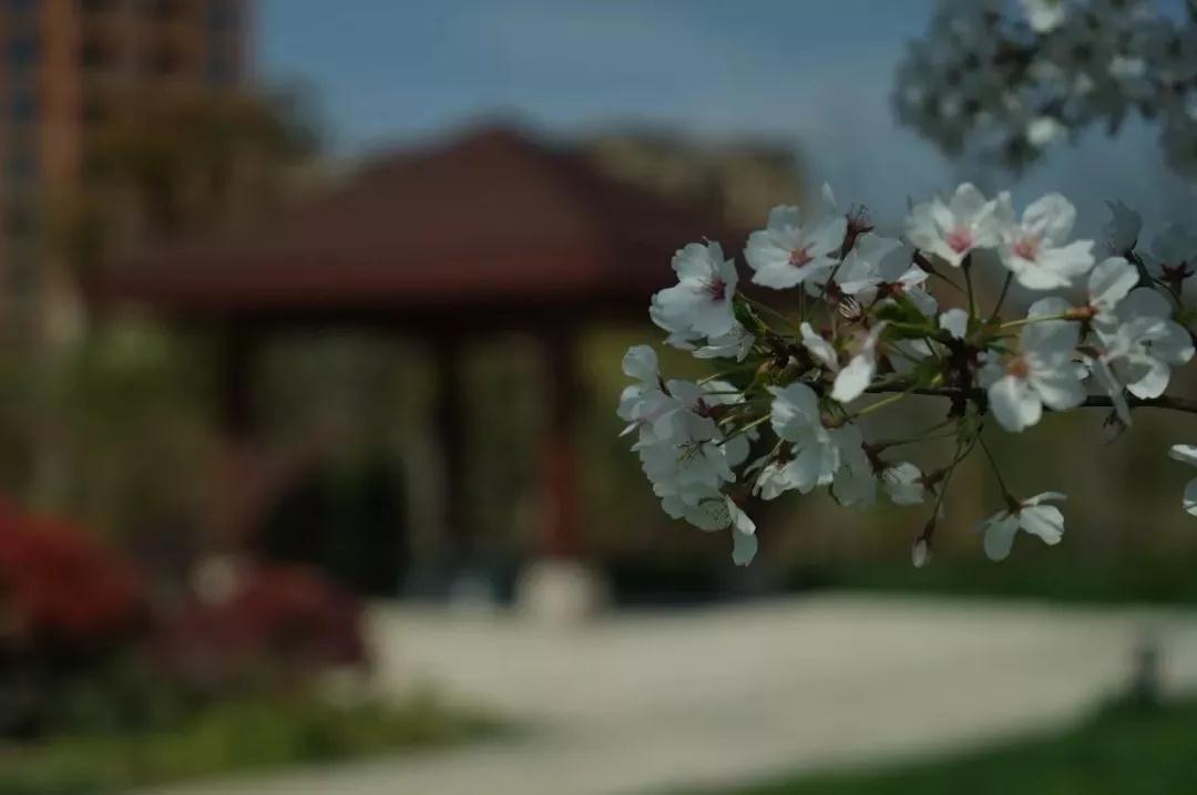 �𷨲���̾û���ǻ۵ġ���ʵ�ˡ�