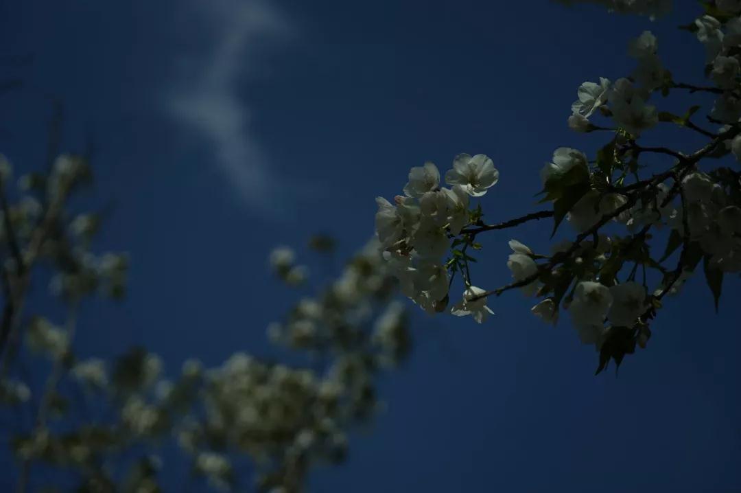 �𷨲���̾û���ǻ۵ġ���ʵ�ˡ�