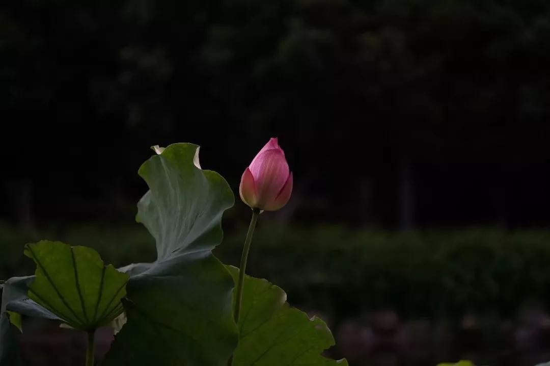 ƽʱ����Ƿ��ܿ������������ʱ�ã�