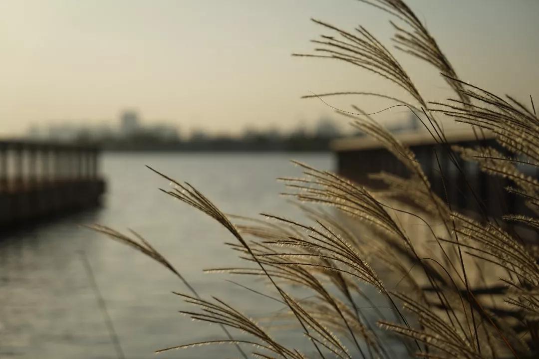 ���˵��������ԭ��_|_��һ����׬Ǯ����Ҫ��ֵǮ����Ҫ��