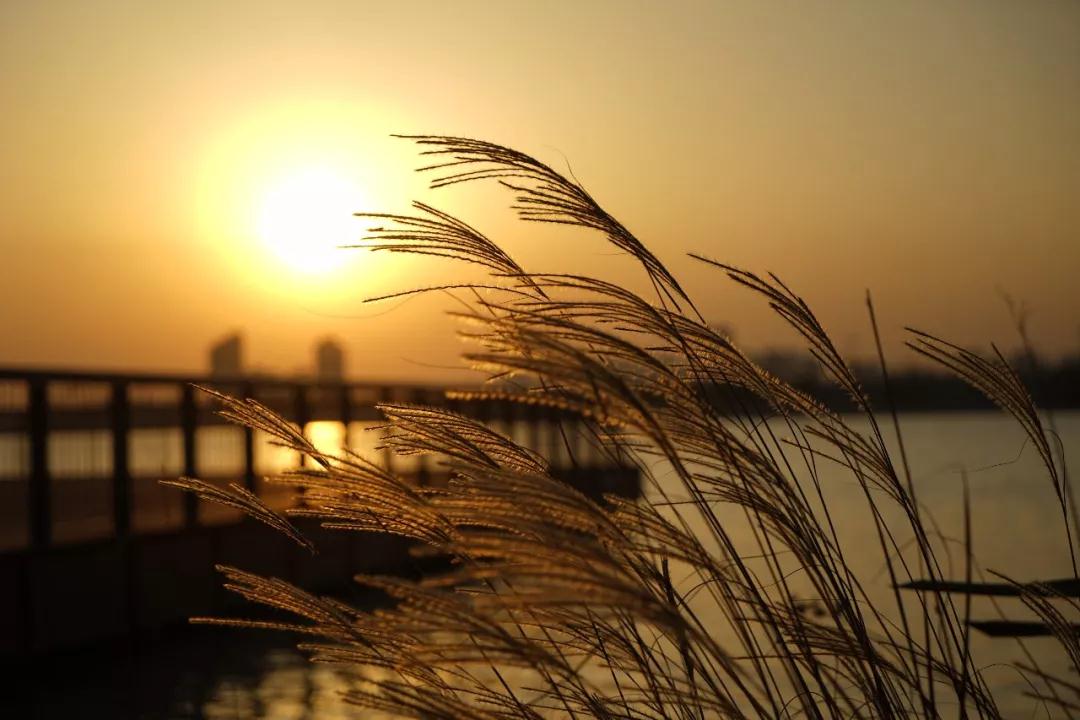 ���˵��������ԭ��_|_��һ����׬Ǯ����Ҫ��ֵǮ����Ҫ��