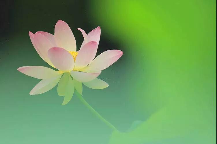 �ⲻ�Ƿ�ϵ�����ǡ���ϵ����