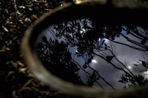 �ⲻ�Ƿ�ϵ�����ǡ���ϵ����