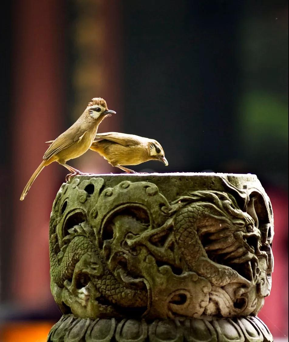 ��ʶ_|_ʲô����ҵ����ҵ���޼�ҵ��