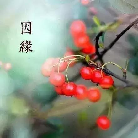 Ϊʲô���Ī��ϲ��������һ���ˣ�