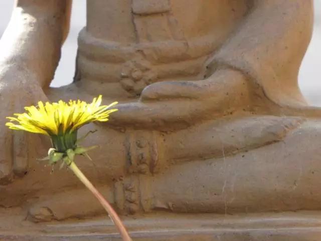 ���߾�������������ǲ���ħ�ϣ�