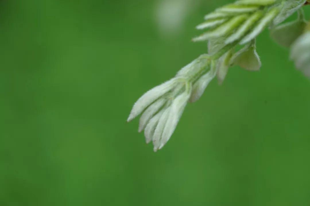 念佛有这三种情况,很难与弥陀相应…… 念佛有这三种情况,很难与弥陀相应……