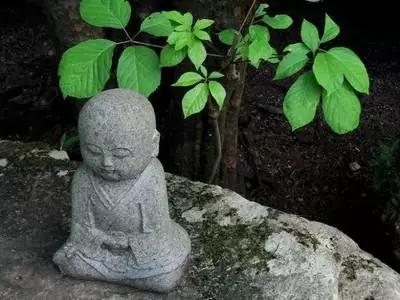 ���˫�̽������۾���������