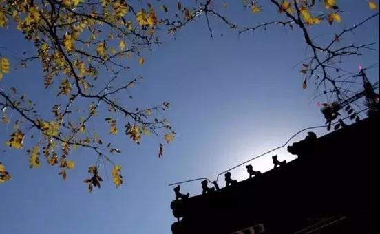 ��ʶ_|_����Ժ��ס�������֪�����¡���