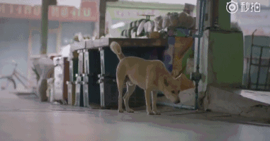 ��������Ĺ�棺�㲻�ں�������