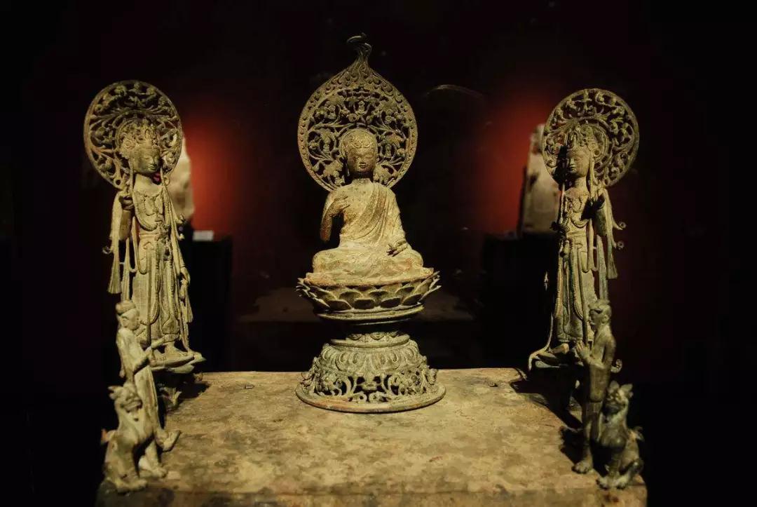 �������ŵ���������