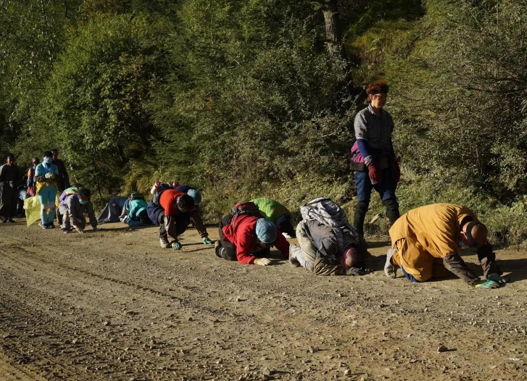 �������ŵ���������