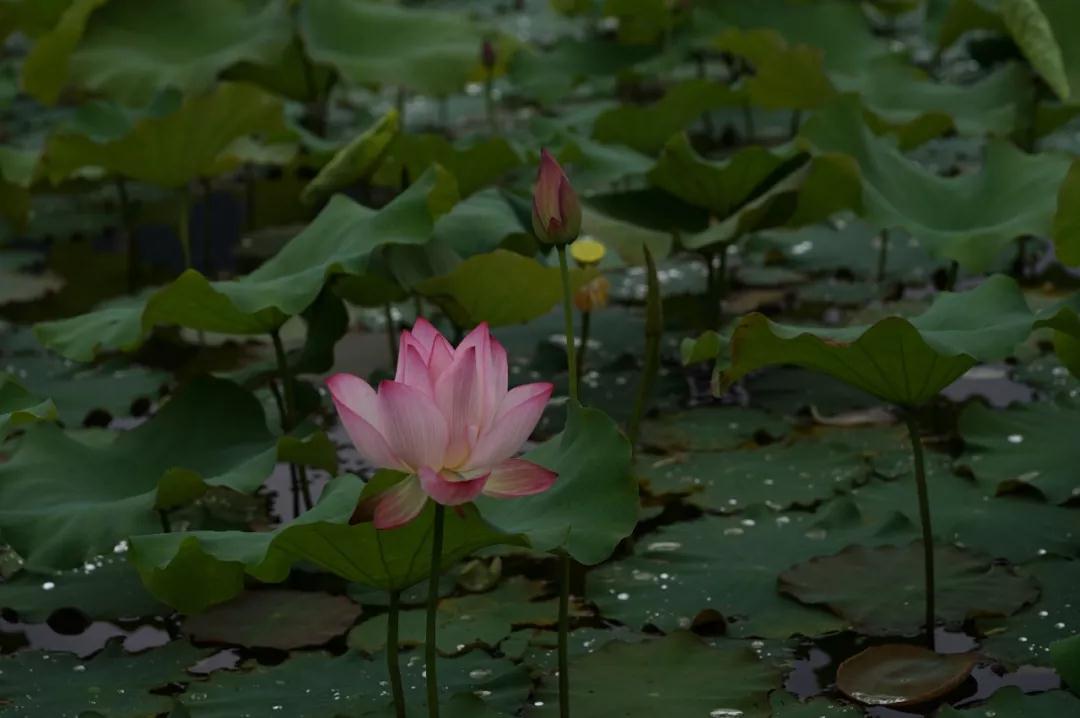 ��ҵ���˵Ľ��ɹۣ���Ҫ�߼���