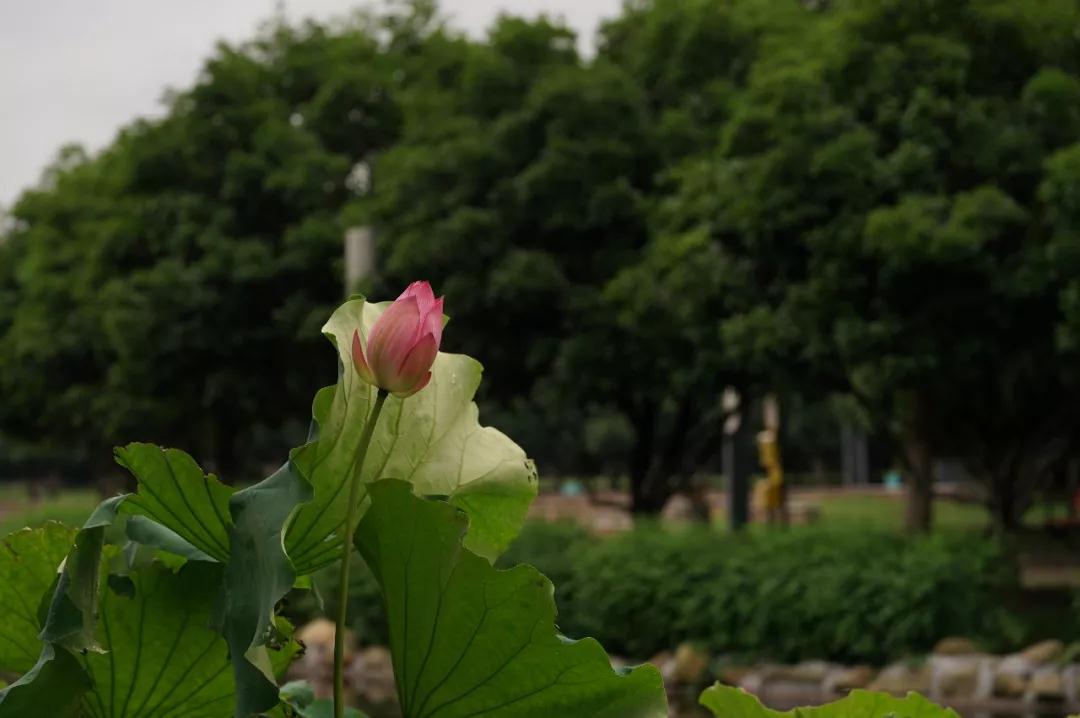 ��ҵ���˵Ľ��ɹۣ���Ҫ�߼���