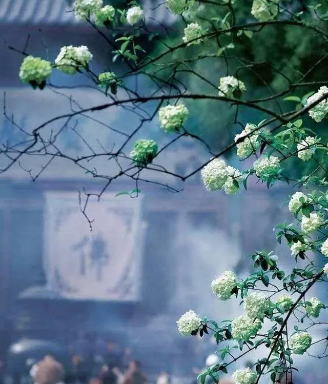 为何你做了这么多_却“实无功德”? 为何你做了这么多_却“实无功德”?