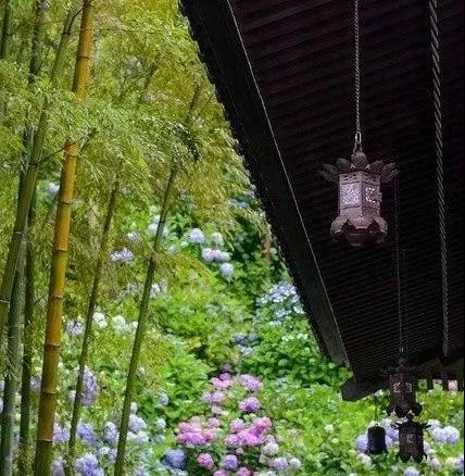 孝敬父母,等于供佛 孝敬父母,等于供佛