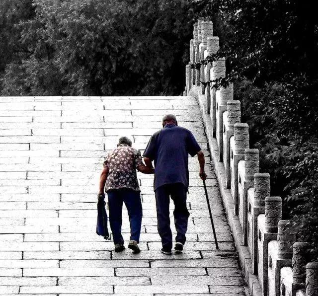 孝敬父母,等于供佛 孝敬父母,等于供佛