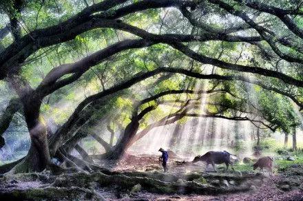 孝敬父母,等于供佛 孝敬父母,等于供佛