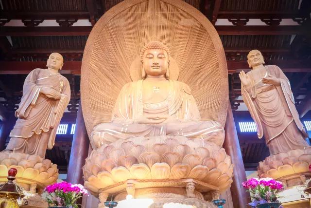 ��Ժ��ķ��������������ʶ��