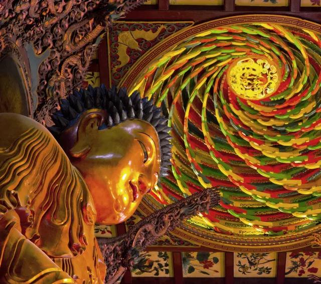 ��Ժ��ķ��������������ʶ��