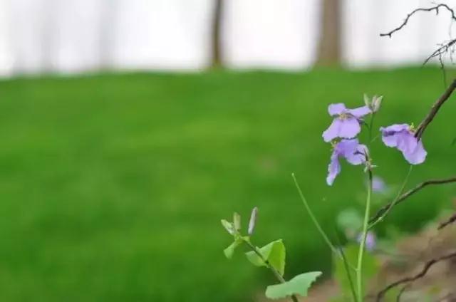 ��Ⱥ��ʦ�������������зǳ���Ҫ