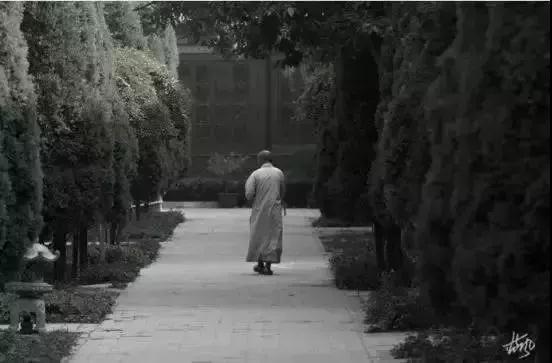 ӡ�ⷨʦ������������췲ʥ��Ҫ�ɷ�Ľݾ�