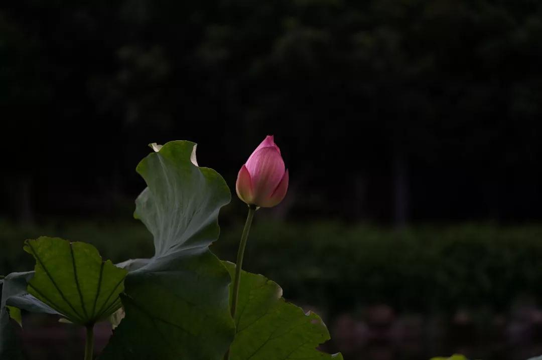 Ҫ�ﵽʲô�̶ȣ���������������Ը��