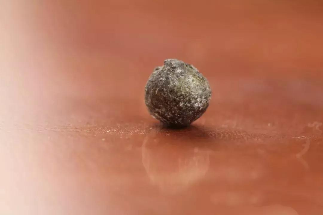 禅门巨匠“一诚长老”化身窑分拣舍利近千余颗 禅门巨匠“一诚长老”化身窑分拣舍利近千余颗