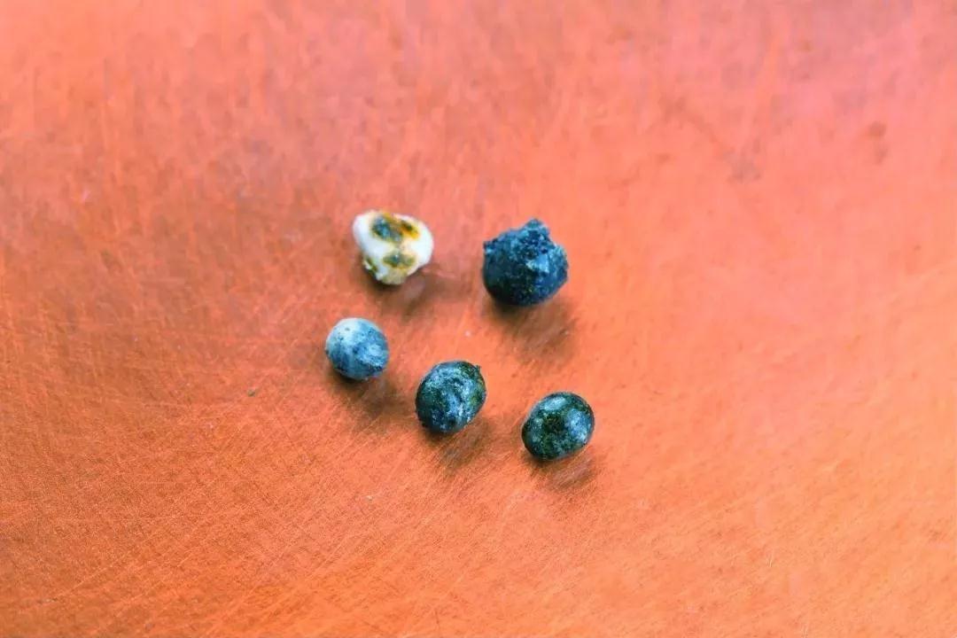 禅门巨匠“一诚长老”化身窑分拣舍利近千余颗 禅门巨匠“一诚长老”化身窑分拣舍利近千余颗