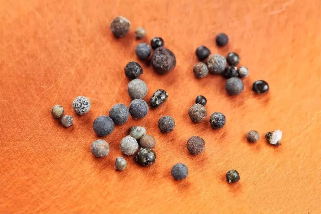 禅门巨匠“一诚长老”化身窑分拣舍利近千余颗 禅门巨匠“一诚长老”化身窑分拣舍利近千余颗