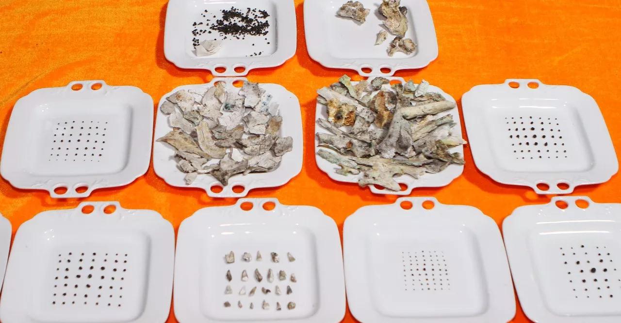 禅门巨匠“一诚长老”化身窑分拣舍利近千余颗 禅门巨匠“一诚长老”化身窑分拣舍利近千余颗