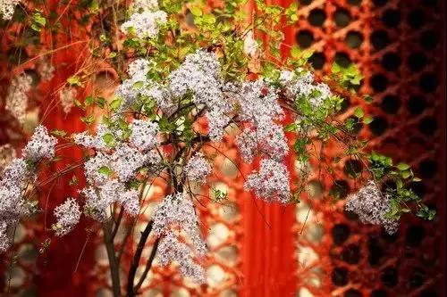 ���Ǿ�������������Ĵ�ѧ����