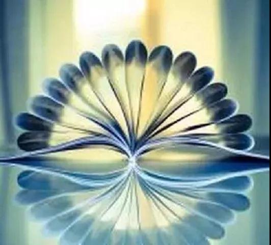 保持一颗「不动心」 保持一颗「不动心」