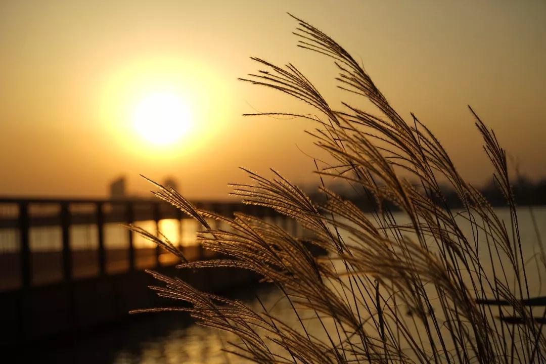 ��ʵ�ڶ�������Ϊ�У����˾��ܸı�