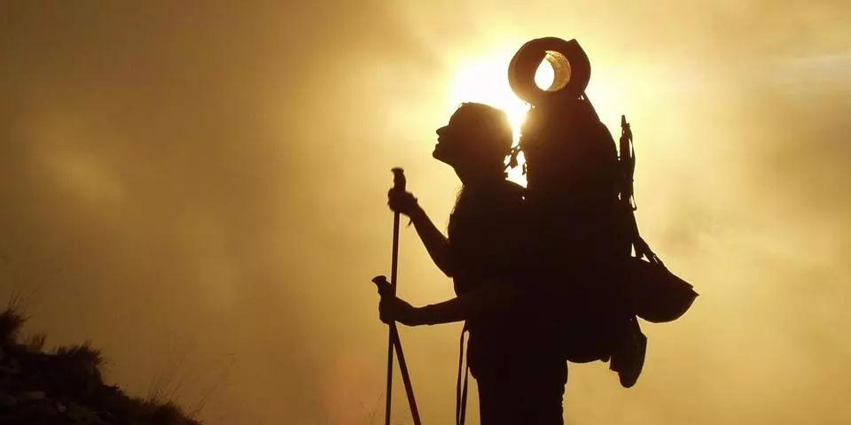 ӡ�ⷨʦ����Ϊ�ɷ�֮��